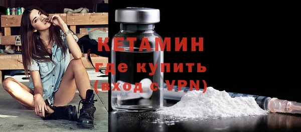 амф Дмитриев