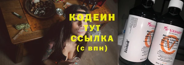 амф Дмитриев