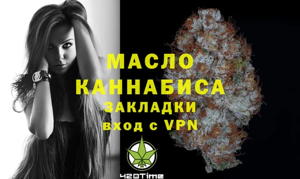 амф Дмитриев