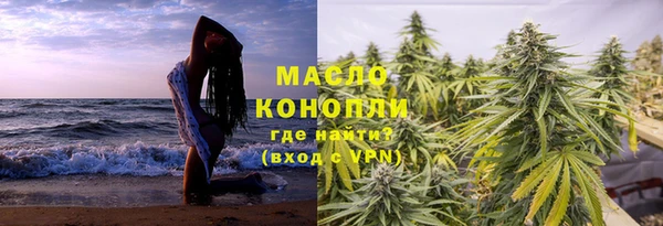 амф Дмитриев