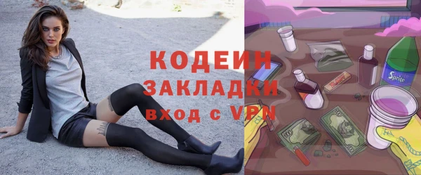 амф Дмитриев
